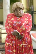 Big Momma's House 2 442554