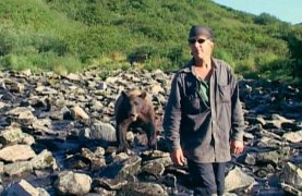 Grizzly Man 37794