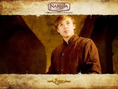 The Chronicles of Narnia: Prince Caspian 82323