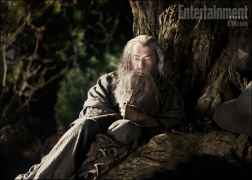 The Hobbit: An Unexpected Journey 74114