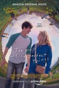The Map of Tiny Perfect Things 981397