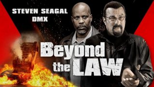 Beyond the Law 1031960