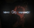 Never Cry Werewolf