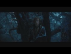 The Hobbit: The Desolation of Smaug 245245