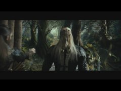 The Hobbit: The Desolation of Smaug 245250