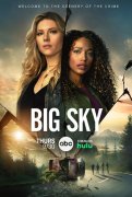 Big Sky 1004600