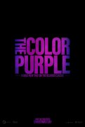 The Color Purple 1037467