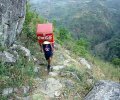 Journey of a Red Fridge