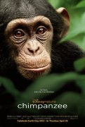 Chimpanzee 120761