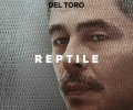 Reptile