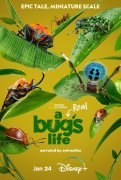 A Real Bug's Life 1045473