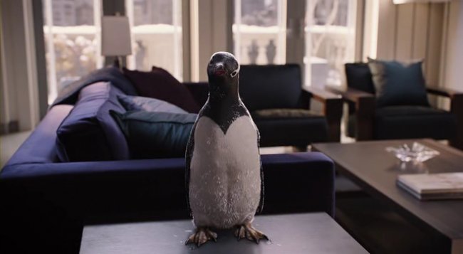 Mr. Popper's Penguins - Görsel 26.