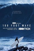 100 Foot Wave 999302