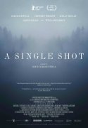 A Single Shot 214669