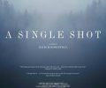 A Single Shot