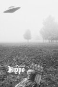 Hippo 1042440