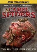 Camel Spiders 247484