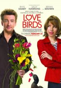 Love Birds 76331