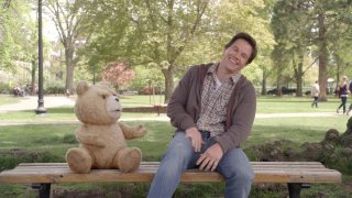 Ted 203494