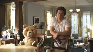 Ted 203498