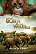 Born to Be Wild 59902