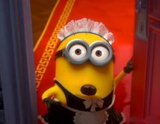 Despicable Me 2 162297