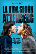 Attenberg 80539