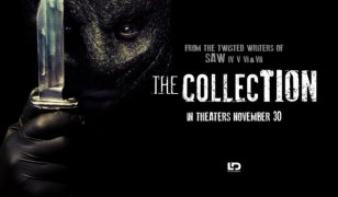 The Collection 151163