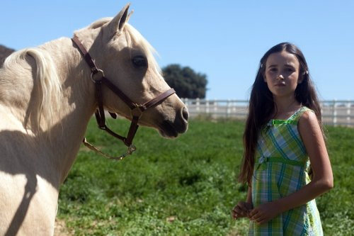 Princess and the Pony