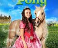 Princess and the Pony