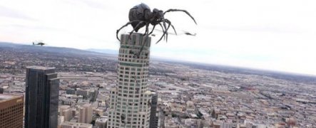Big Ass Spider! 307772