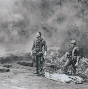 The Vietnam War 736084