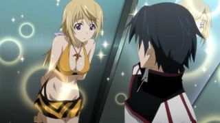 Infinite Stratos 417631