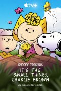 It's the Small Things, Charlie Brown 1022541