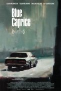 Blue Caprice 264734