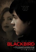Blackbird 143711