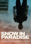 Snow in Paradise 401623