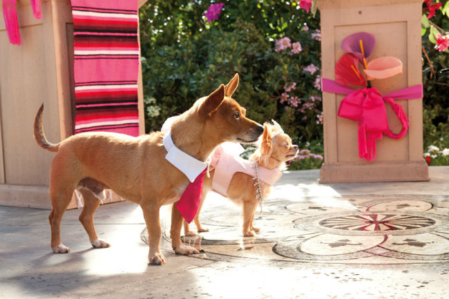 Beverly Hills Chihuahua 3: Viva La Fiesta!