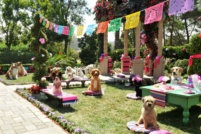 Beverly Hills Chihuahua 3: Viva La Fiesta!