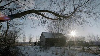 An Amish Murder 318006