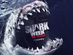 Shark Week 196896