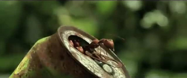 Minuscule - La vallée des fourmis perdues