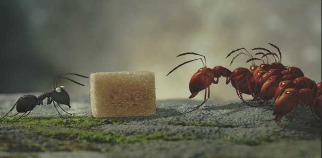 Minuscule - La vallée des fourmis perdues