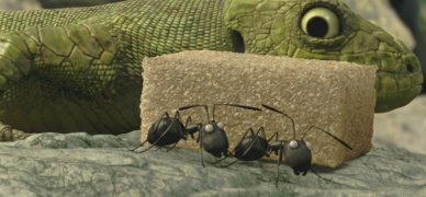 Minuscule - La vallée des fourmis perdues 312085