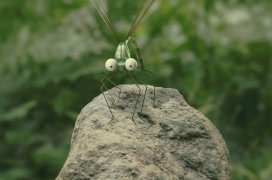 Minuscule - La vallée des fourmis perdues 312097