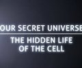 Unser geheimes Universum das verborgene Leben des Handys
