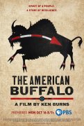 The American Buffalo 1037468