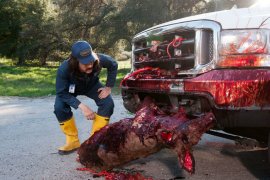 Zombeavers 482054