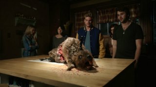 Zombeavers 482061