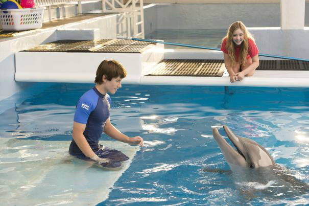 Dolphin Tale 2